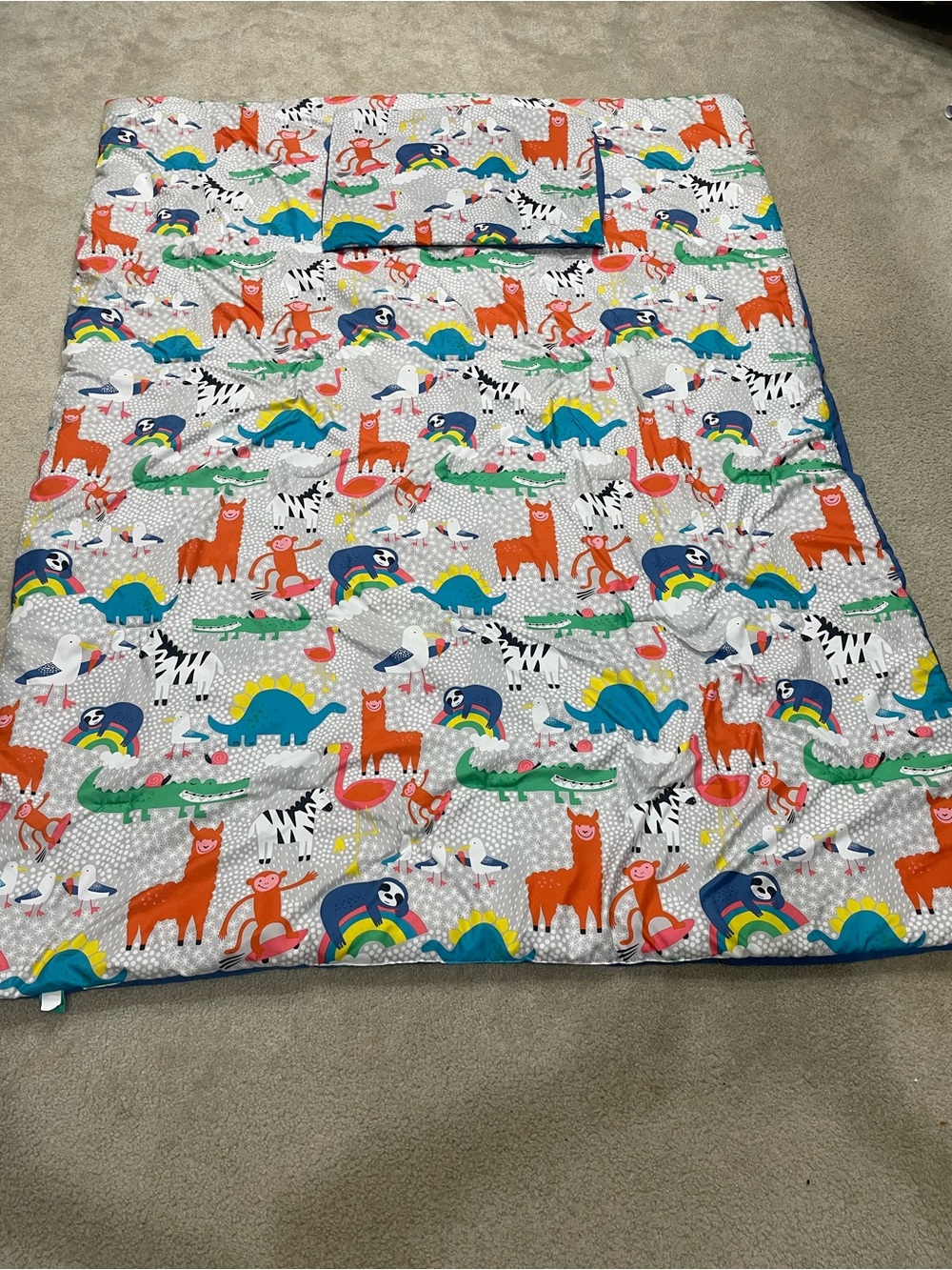 Kids Pillowfort twin comforter and pillow sham